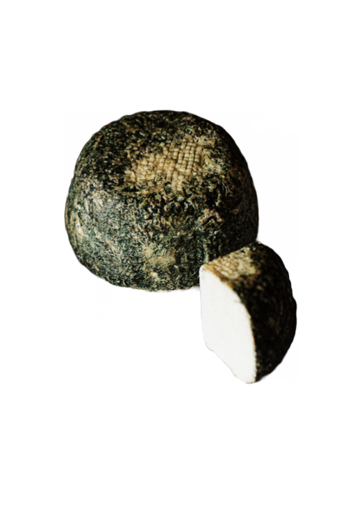 Ricotta Scorza Nera Bio Gregorio Rotolo Scanno (AQ)